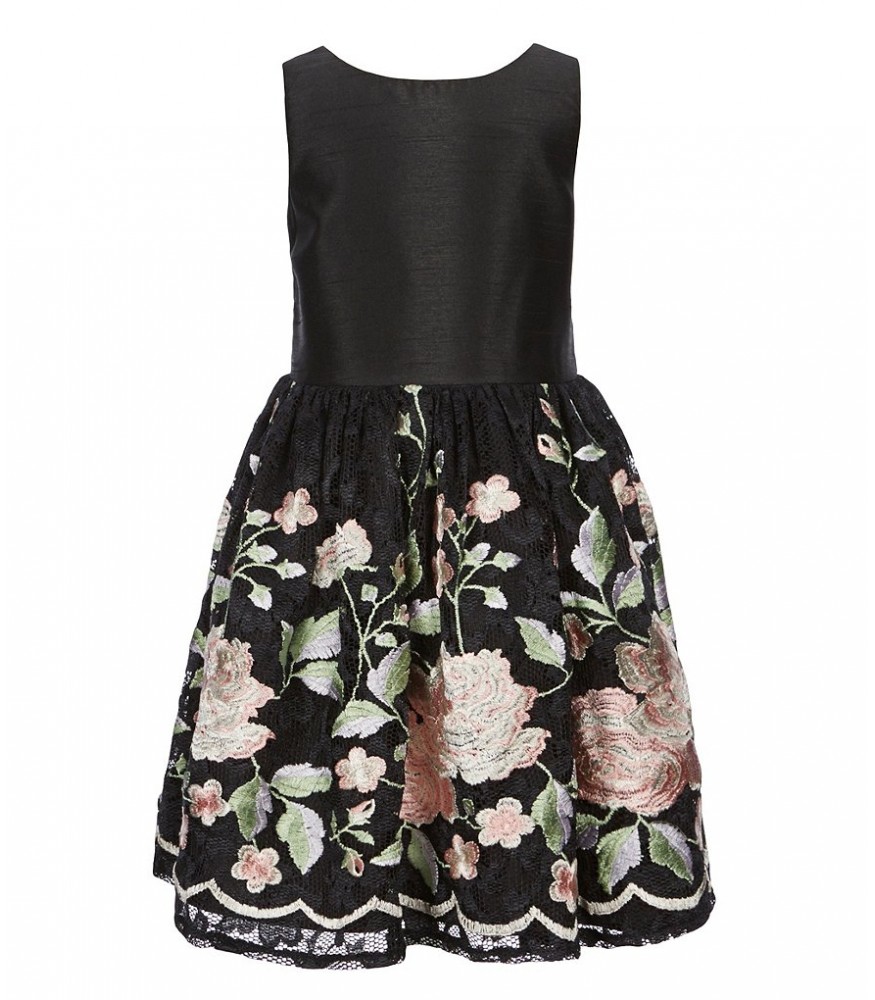 Embroidered Lace Dress